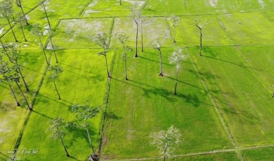 Khung cảnh CHÂU ÂU xuất hiện giữa cánh đồng Tà Lài, Đồng Nai