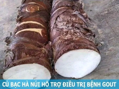 Củ ráy có tác dụng chữa bệnh gì?